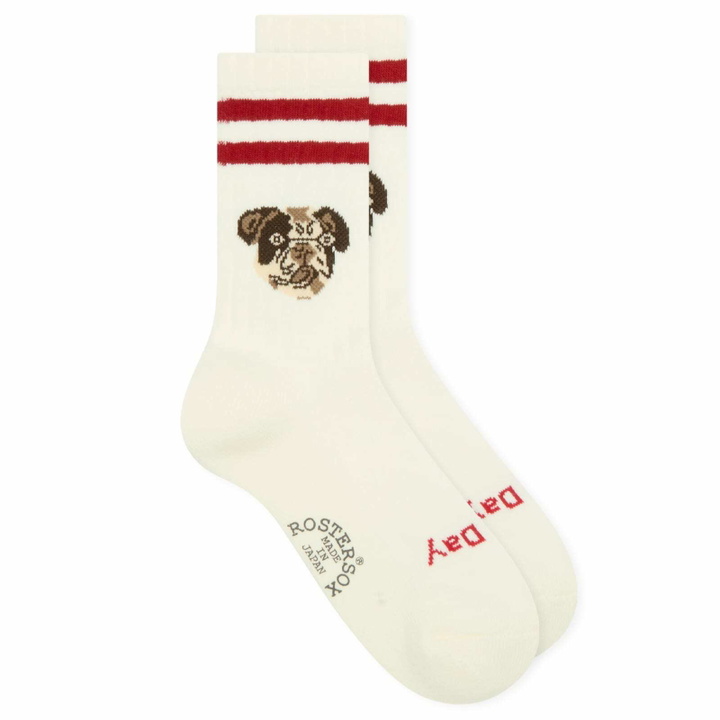 Photo: Rostersox Dog Socks in White