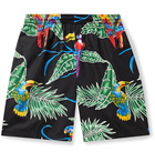 Go Barefoot - Cruizing Tropical Birds Printed Shorts - Black