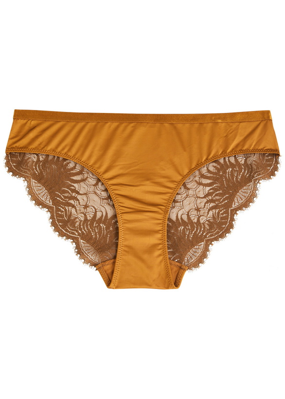 Photo: Hanro Gale Lace Stretch-satin Briefs Gold