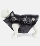 Moncler Genius - x Poldo Dog Couture dog coat