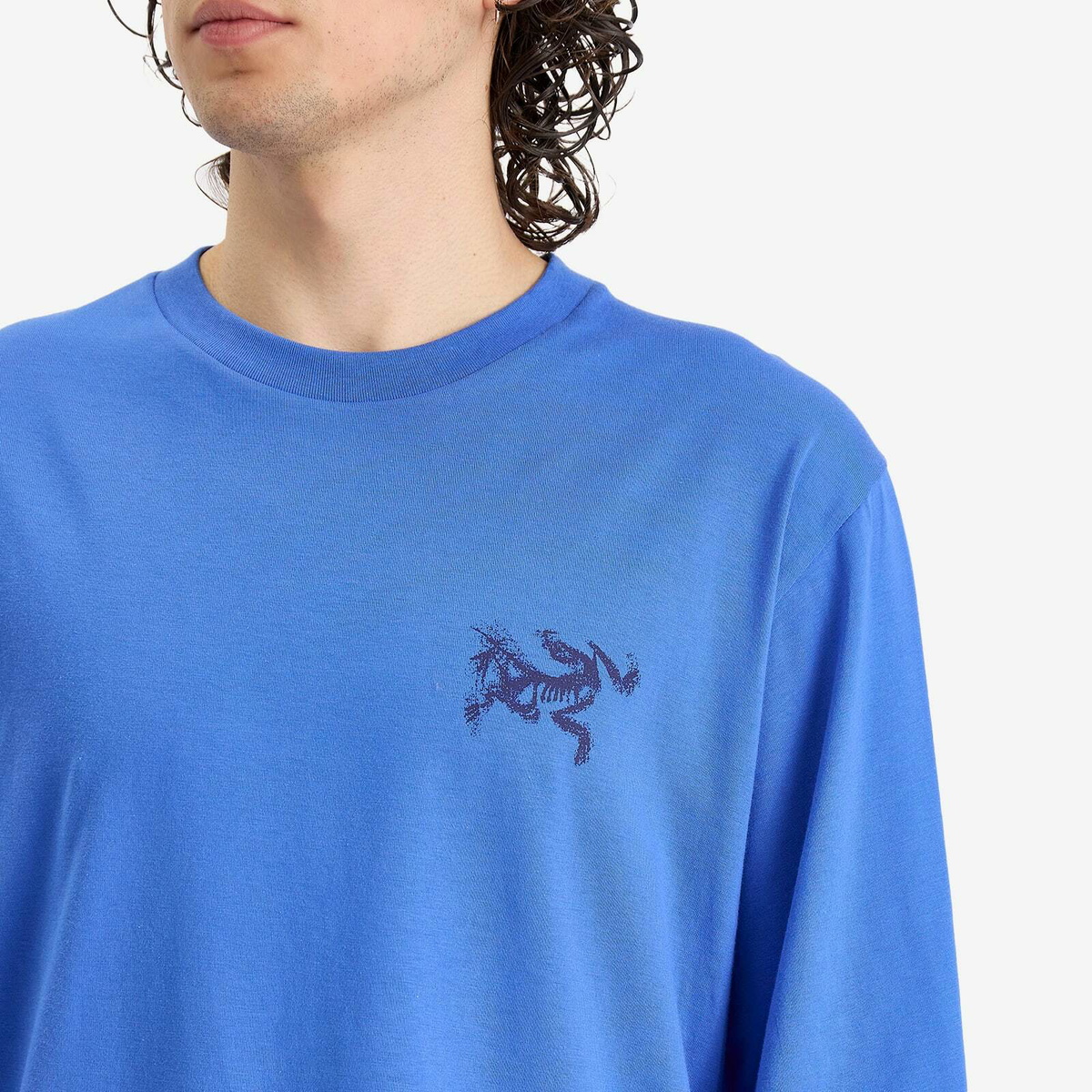 Arc'teryx Men's Kragg SL Cotton Bird Tile Long Sleeve T-Shirt in