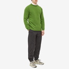 Albam Men's Boiled Wool Crew Neck Knit in Green