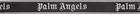 Palm Angels Black Logo Belt