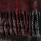 Harmony Men's Arty Tartan Scarf in Burgundy