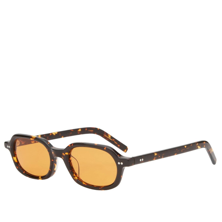 Photo: AKILA Psyche Sunglasses in Tokyo Tortoise/Orange 