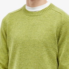 NN07 Men's Nathan Crew Knit in Daiquiri Green