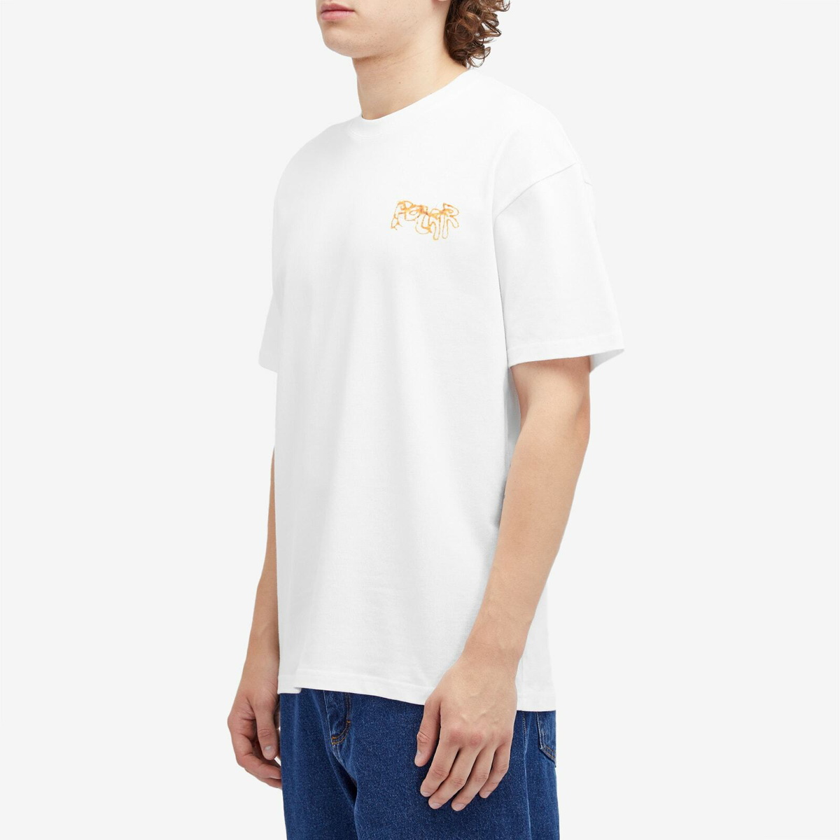 Polar Skate Co. Men's Green Spider T-Shirt in White Polar