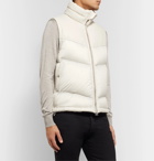 TOM FORD - Quilted Leather and Shell Down Gilet - Neutrals