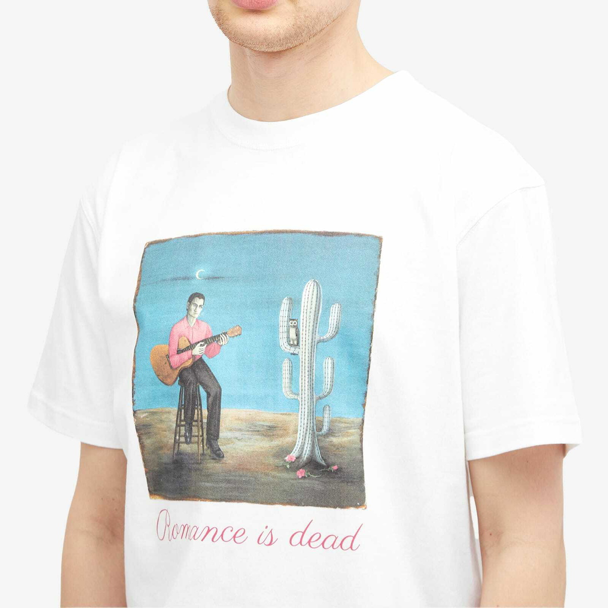 Endless Joy Men's Haunted By An Owl T-Shirt in White