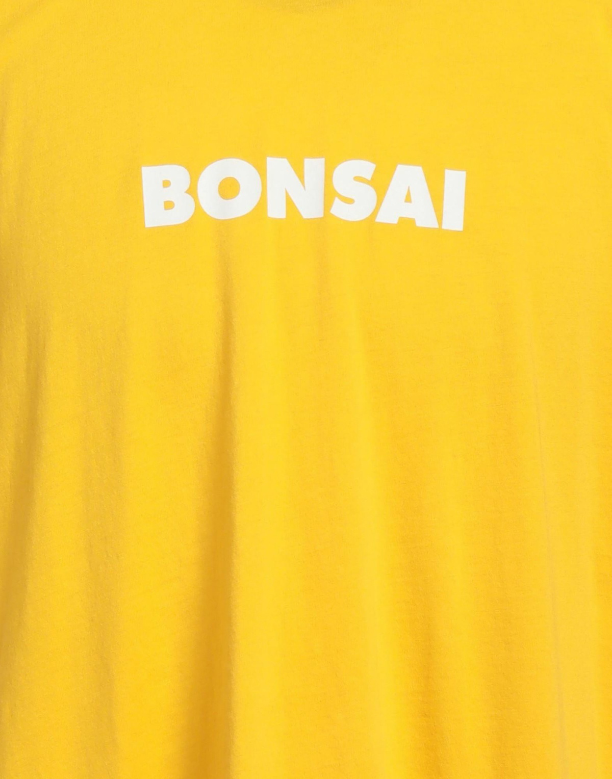 Bonsai Mens T-shirt in Orange