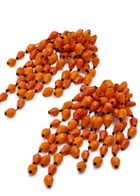 Isabel Marant Hanabi Beaded Clip-on Drop Earrings - Orange - One Size