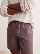 FRAME - Summer Boxer Straight-Leg Shell Shorts - Brown