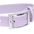 Wild One Dog Collar in Lilac