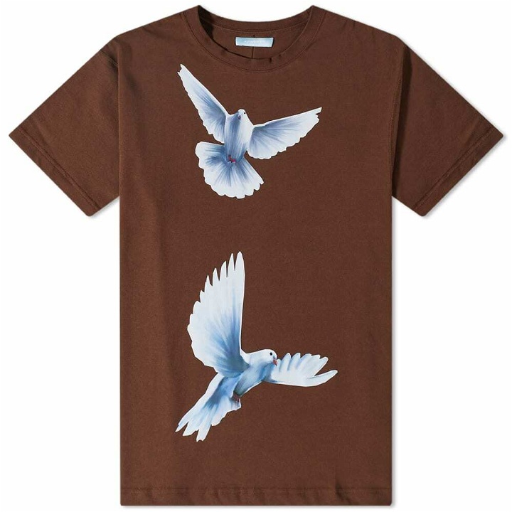 Photo: 3.Paradis Men's Freedom Birds T-Shirt in Brown