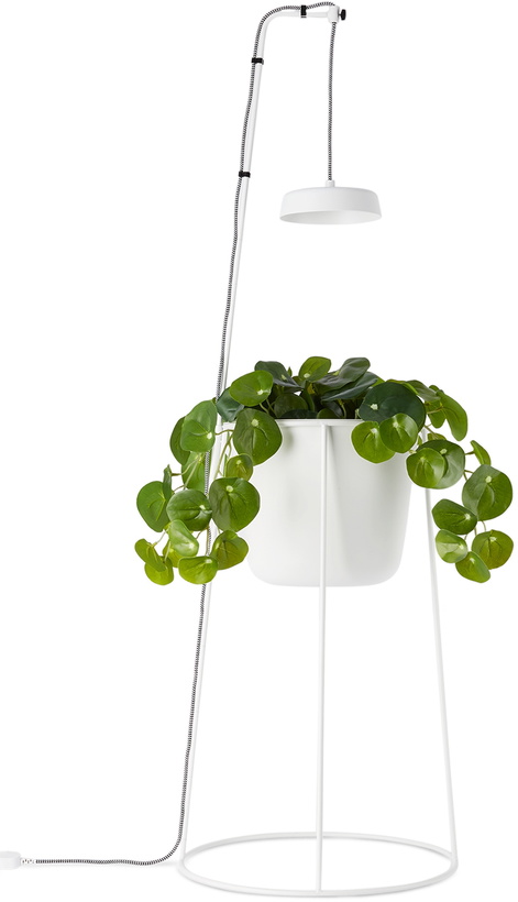 Photo: Modern Sprout White Uplift Planter