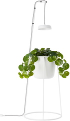 Modern Sprout White Uplift Planter