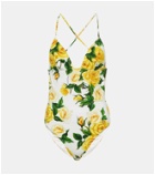 Dolce&Gabbana Floral swimsuit