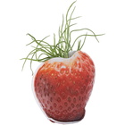 Collina Strada SSENSE Exclusive Red Benjamin Langford Edition Small Strawberry Planter Cover