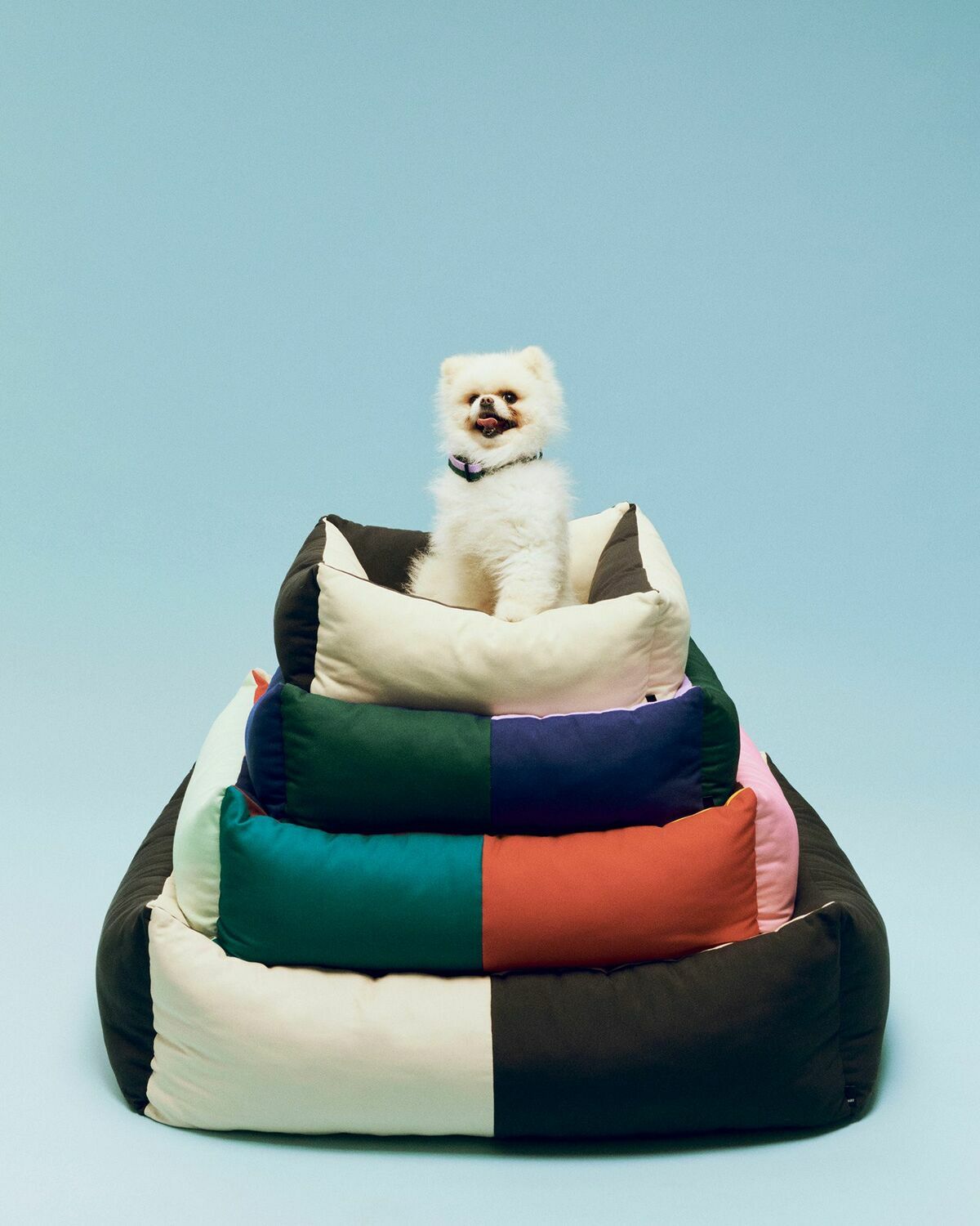 HAY HAY Dogs Bed-X-Small White Mens Pet Care