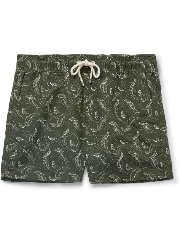 Photo: ATALAYE - Catalpas Short-Length Printed Swim Shorts - Green - L