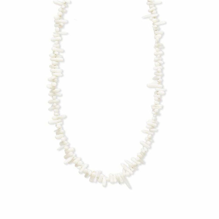 Photo: Timeless Pearly Men's Shell Necklace in White