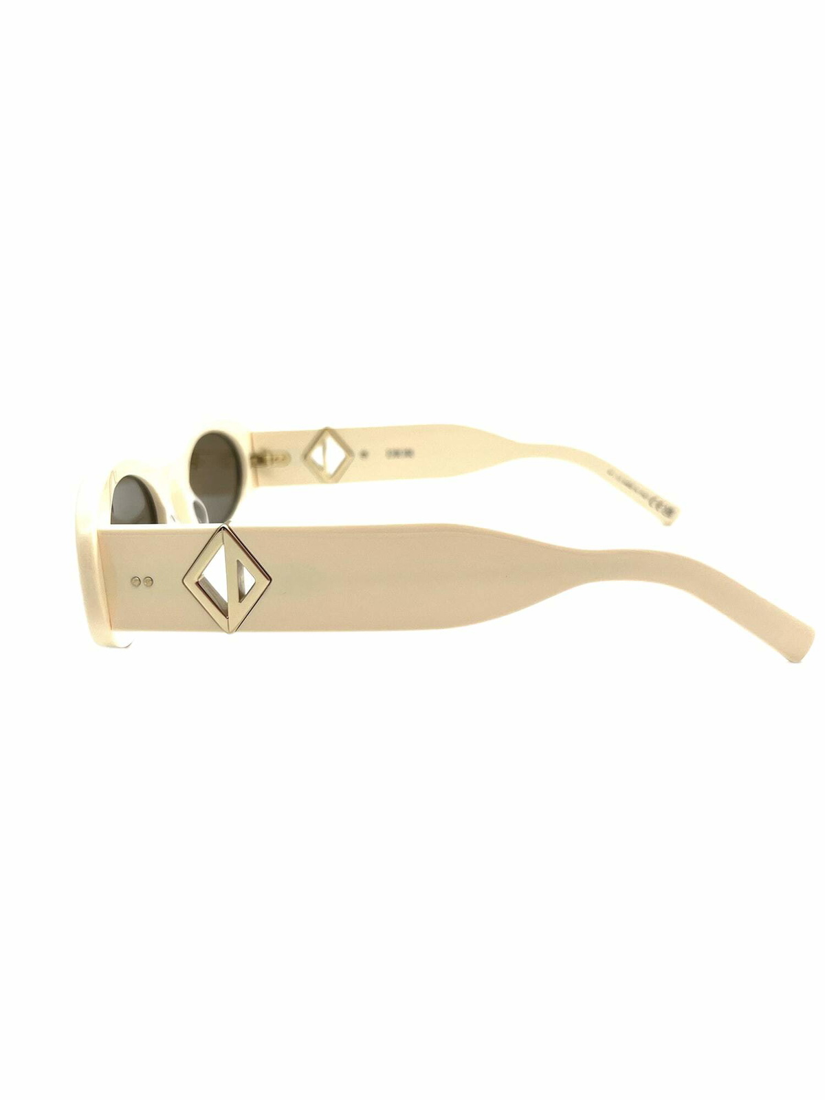 Dior Eyewear CD DIAMOND CACTUS JA Sunglasses
