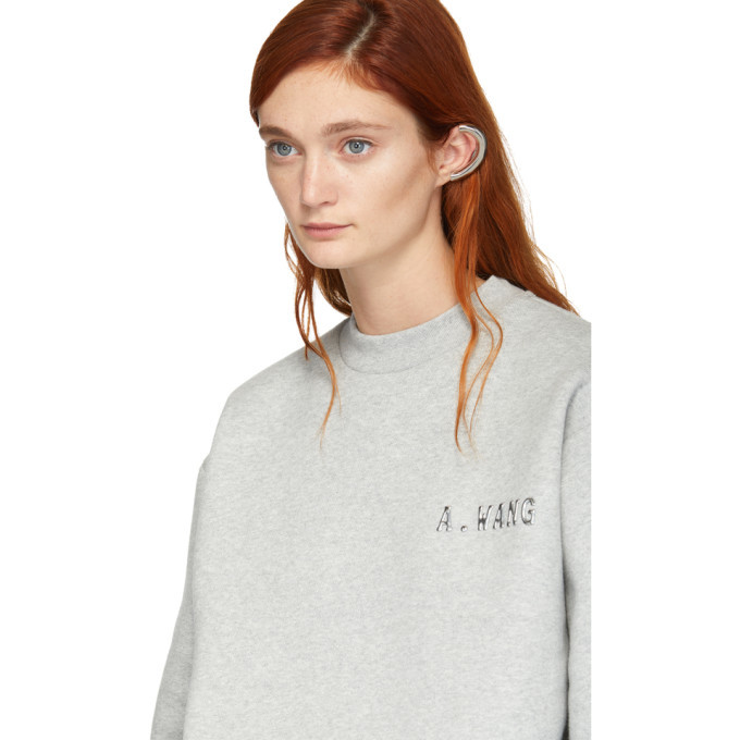 Alexander Wang Grey Platinum Pullover Sweatshirt Alexander Wang