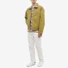 Dickies Men's Lined Eisenhower Jacket in Green Moss