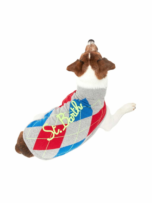 Photo: MC2 Saint Barth Dog Sweater With Argyle Print