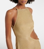 Roberto Cavalli Cutout ribbed-knit sheer lamé gown