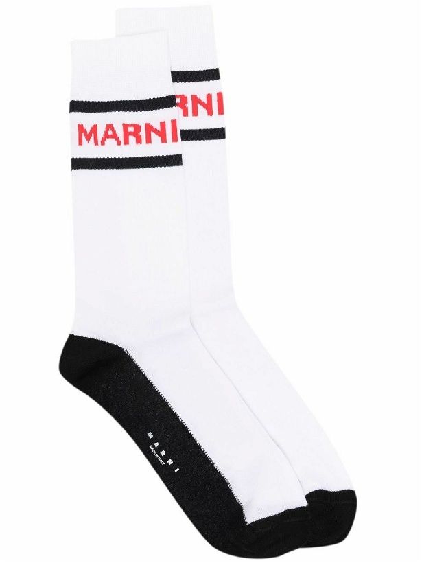 Photo: MARNI - Logo Socks