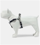Gucci S/M GG canvas dog harness