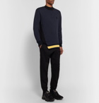 Alexander McQueen - Appliquéd Striped Loopback Cotton-Jersey Sweatshirt - Men - Navy