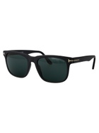 Tom Ford Eyewear Stephenson Sunglasses