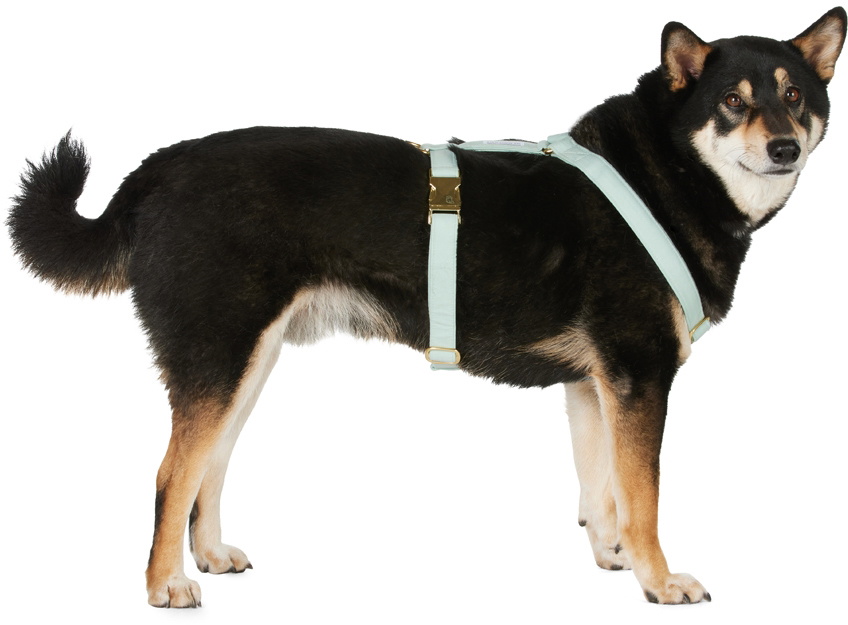 See Scout Sleep Green The Scot Medium Standard Harness