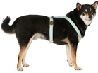 See Scout Sleep Green The Scot Medium Standard Harness