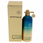 Aoud Lagoon / Montale EDP Spray 3.3 oz (100 ml) (u)