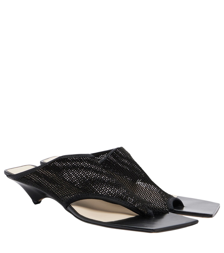 Photo: Christen Edge Stretch leather-trimmed mesh mules