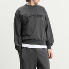 No Problemo Men's Sweatshirt in Iron
