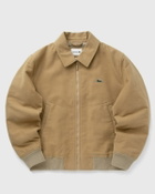 Lacoste BOMBER JACKET Beige Men