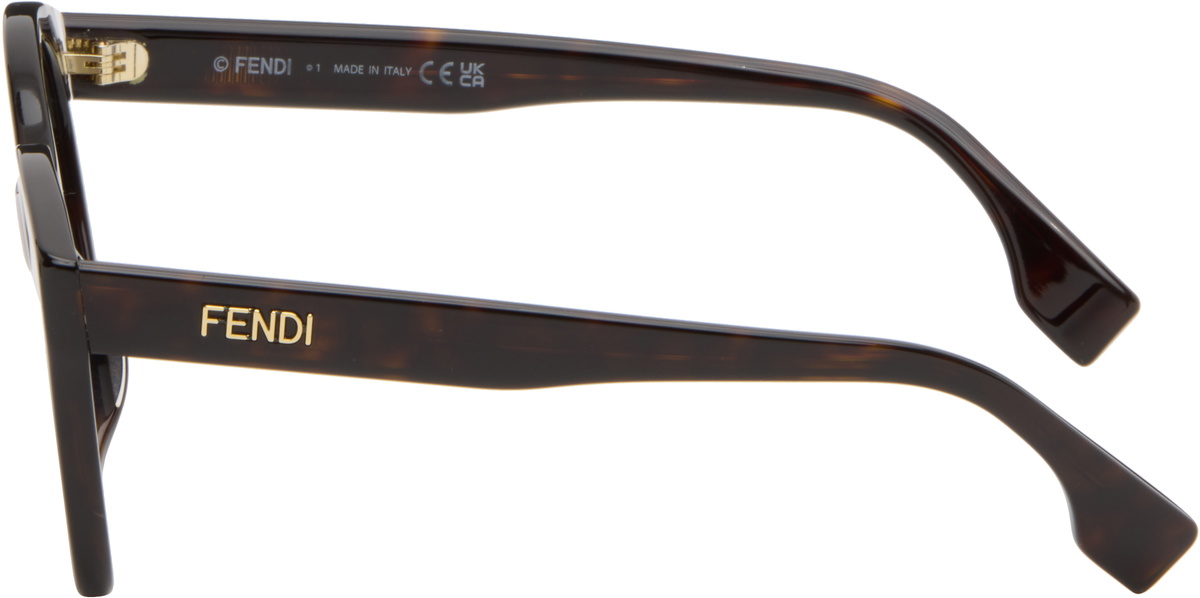 Fendi Brown Lettering Sunglasses