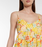 Velvet - Floral cotton minidress