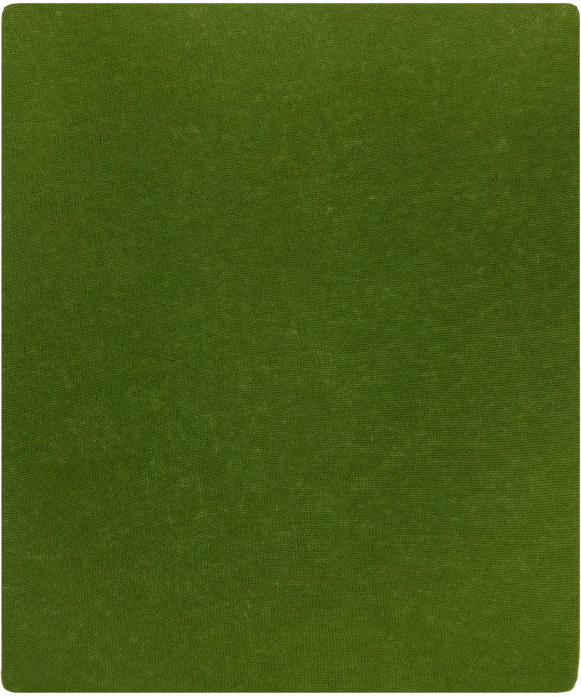 LISA YANG Green 'The Paris' Scarf