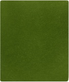 LISA YANG Green 'The Paris' Scarf