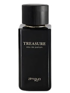 Zimaya Mens Treasure EDP Spray 3.4 oz Fragrances 6290171072829