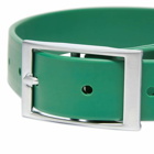 Wild One Dog Collar in Spruce