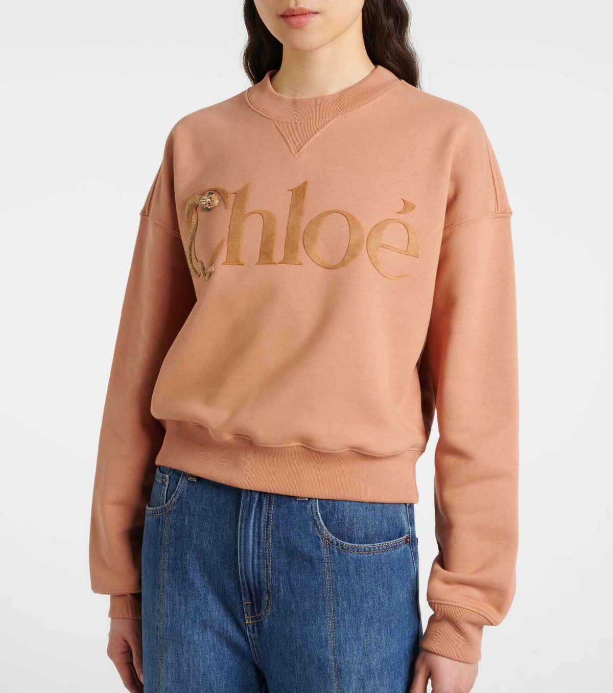 Chloé Cotton sweater