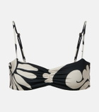 Cala de la Cruz Lilo printed bikini top
