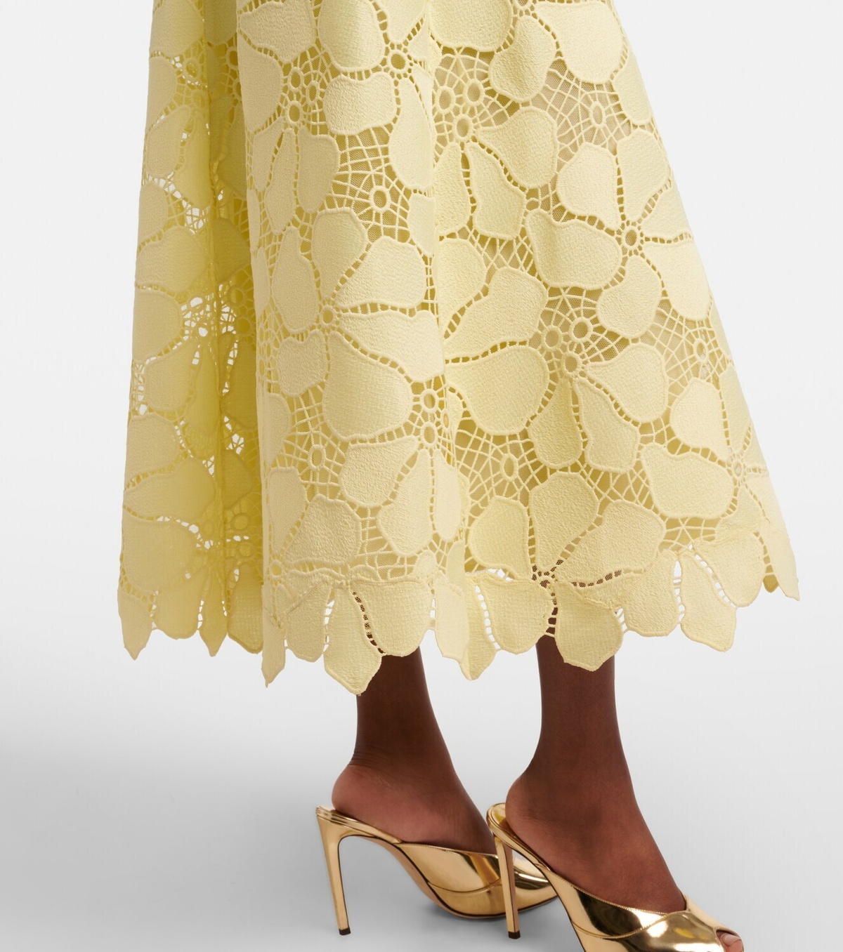 Elie Saab Floral silk-blend guipure midi dress