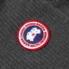 Canada Goose Men's Hybridge Knit Jacket in Iron Grey